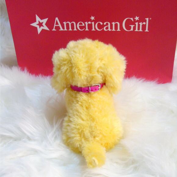 American Girl HONEY DOG PET Golden Lab Retriever Puppy Collar Name Tag AG BAG! - Picture 3 of 8